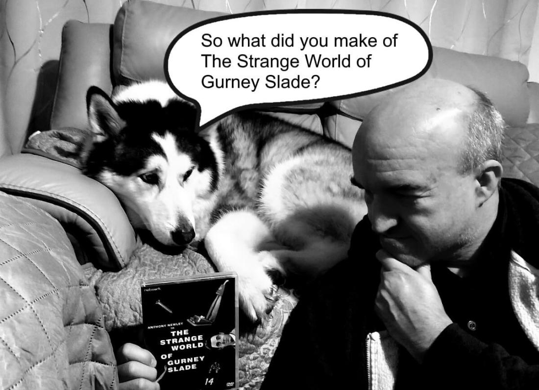 Man and dog look at a DVD